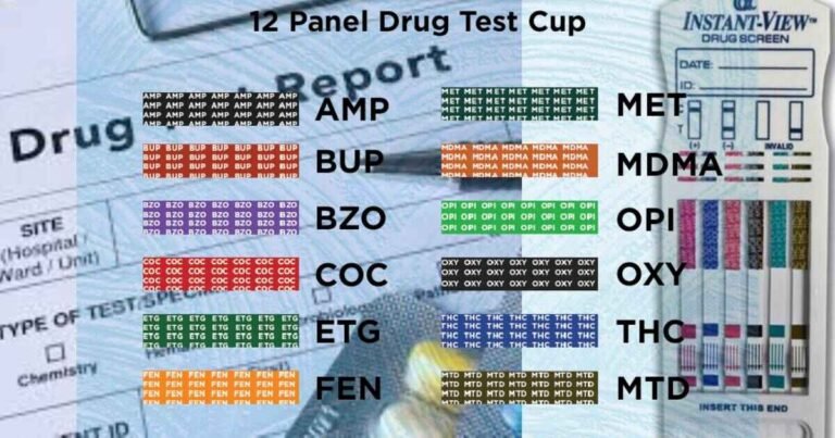 12 panel drug test